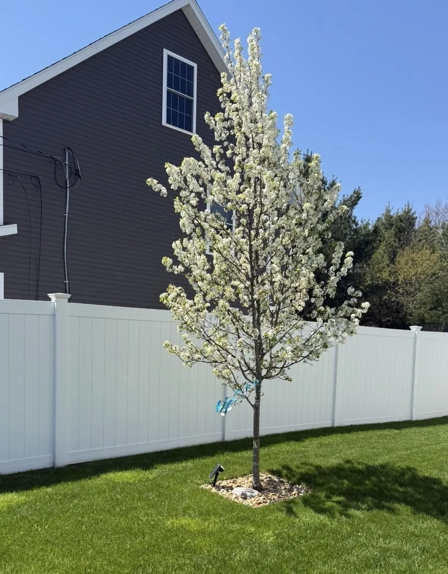 81A Foggs Lane Seabrook NH 03874