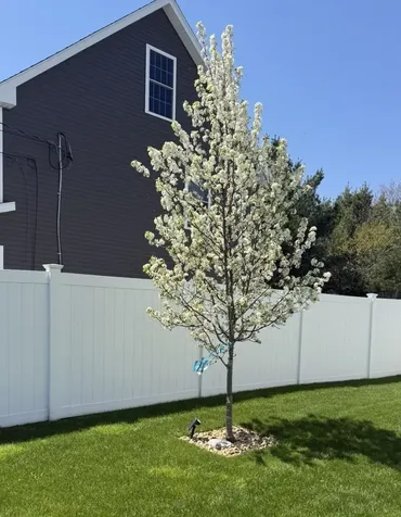 81A Foggs Lane Seabrook NH 03874
