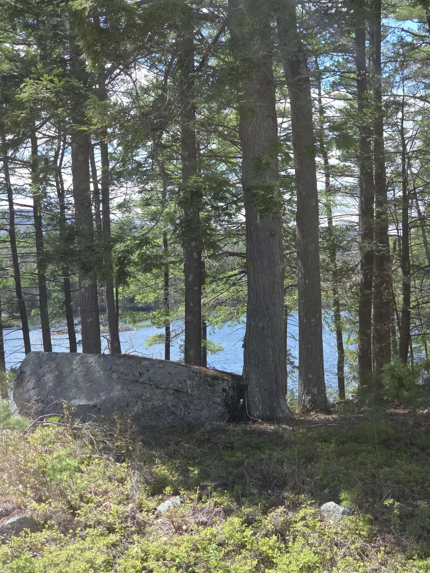 27 Boulder Drive Dublin NH 03444
