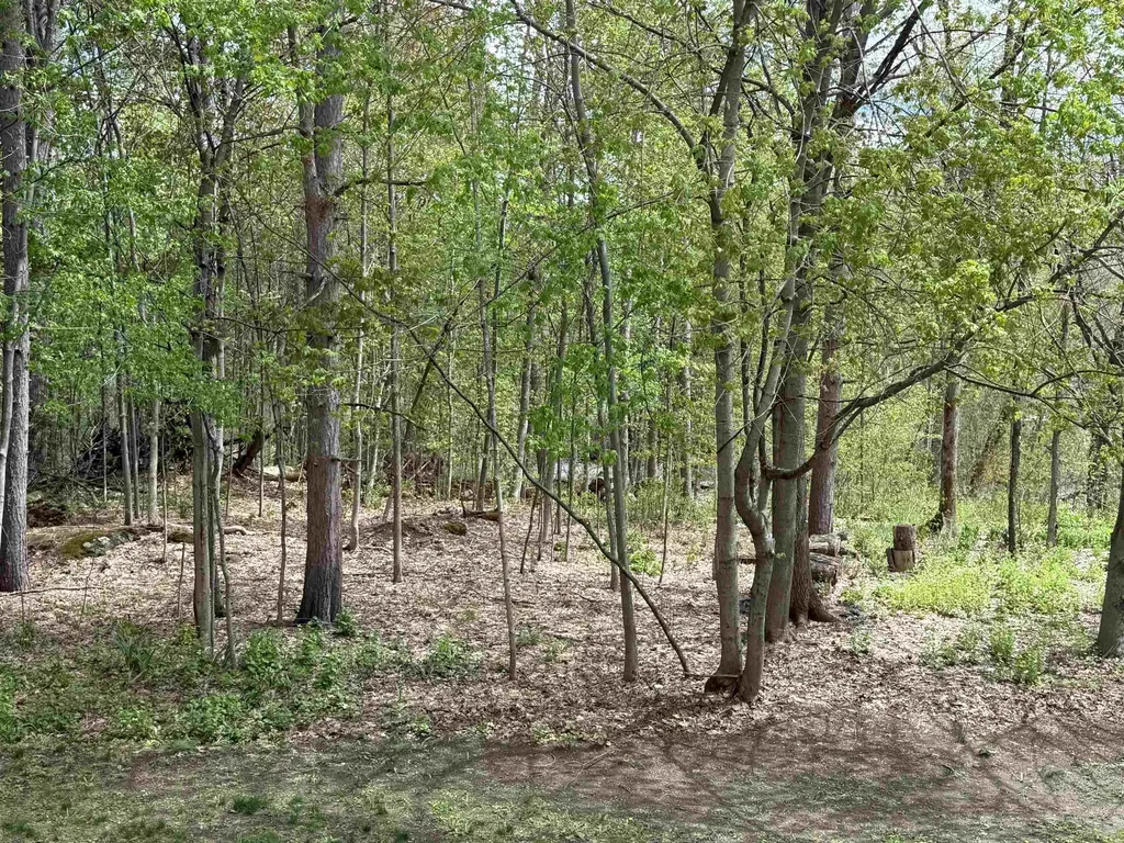 298 Furnace Street Poultney VT 05764