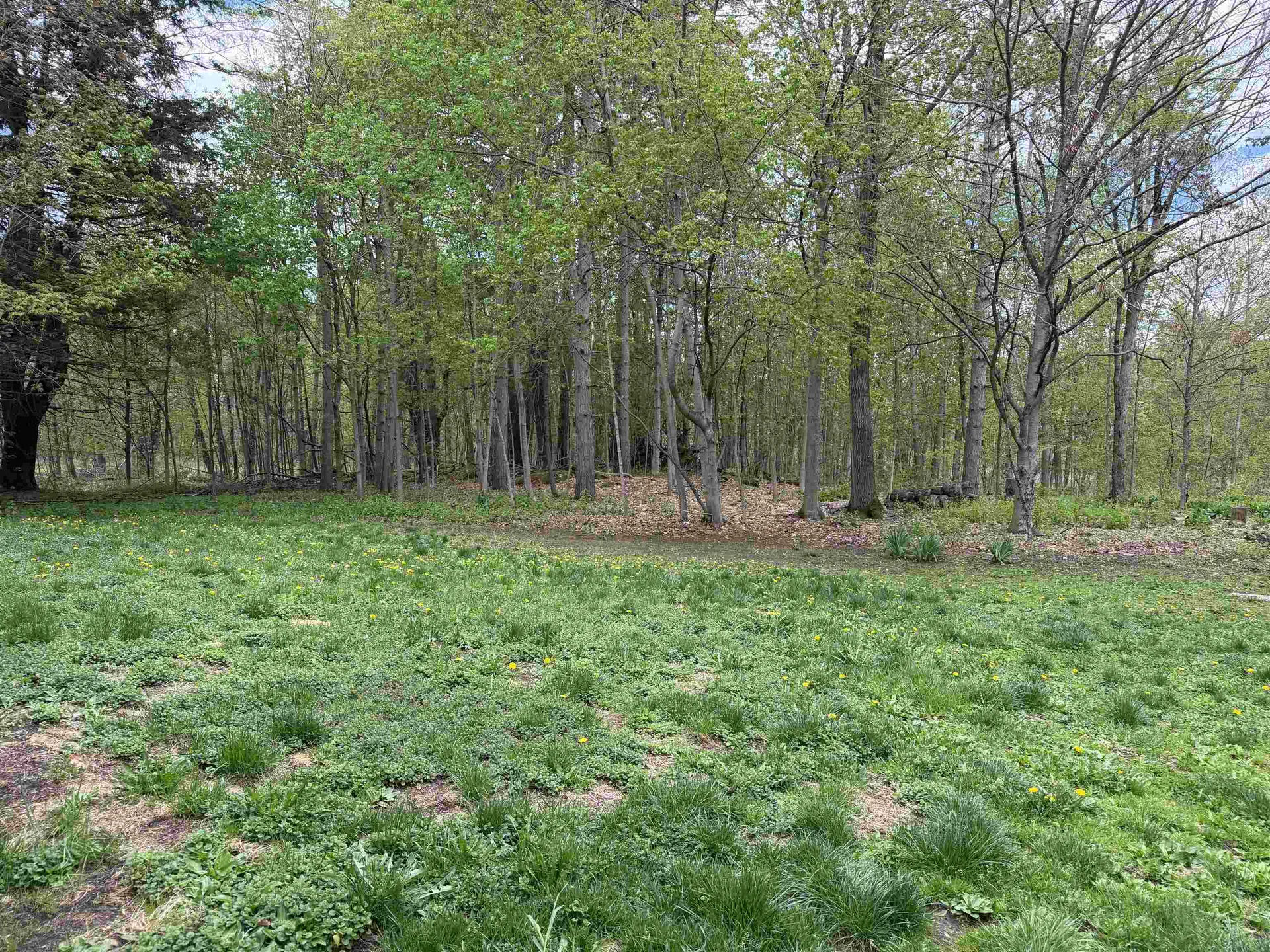 298 Furnace Street Poultney VT 05764
