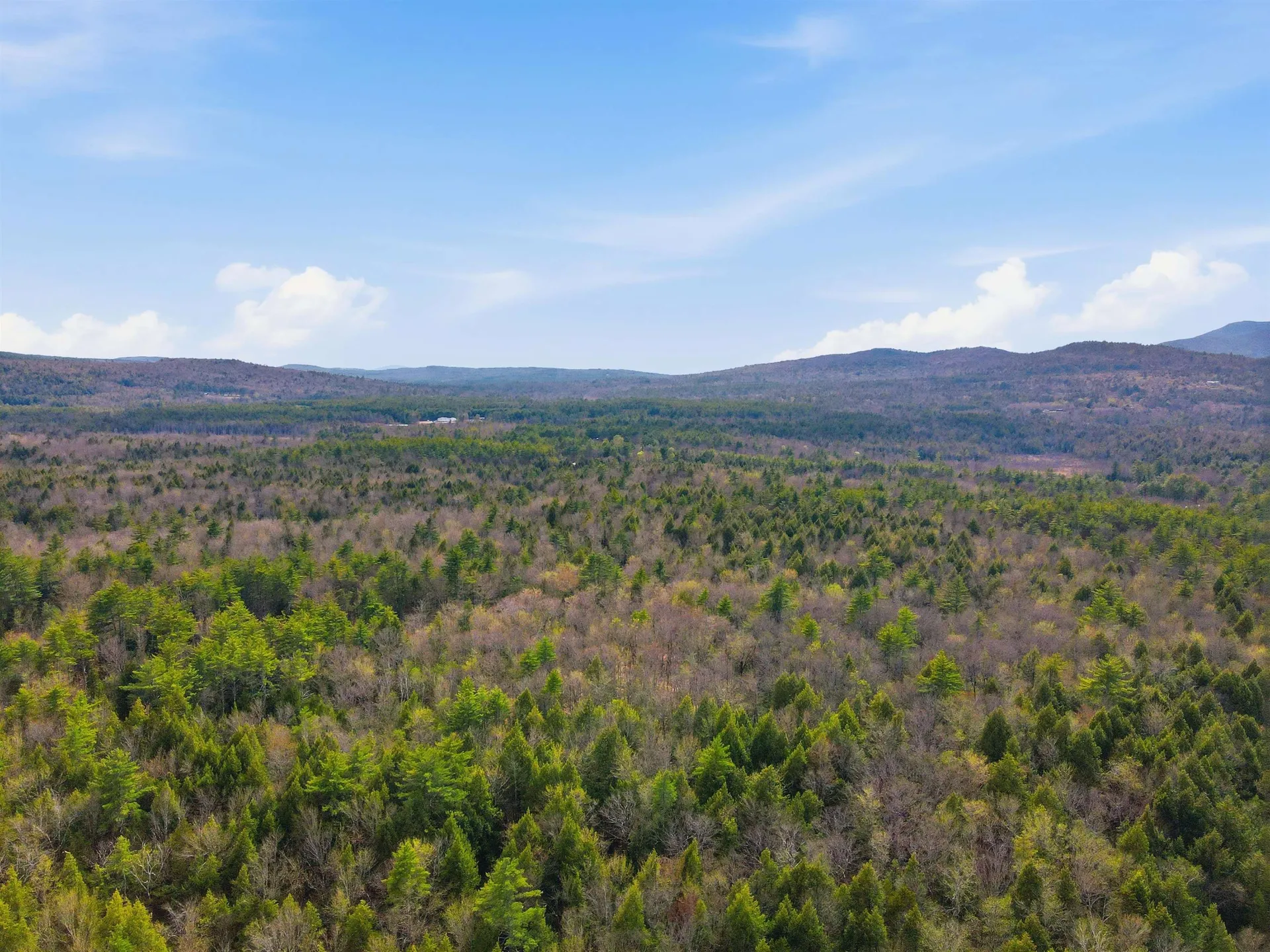 10 Beech River Circle Ossipee NH 03814