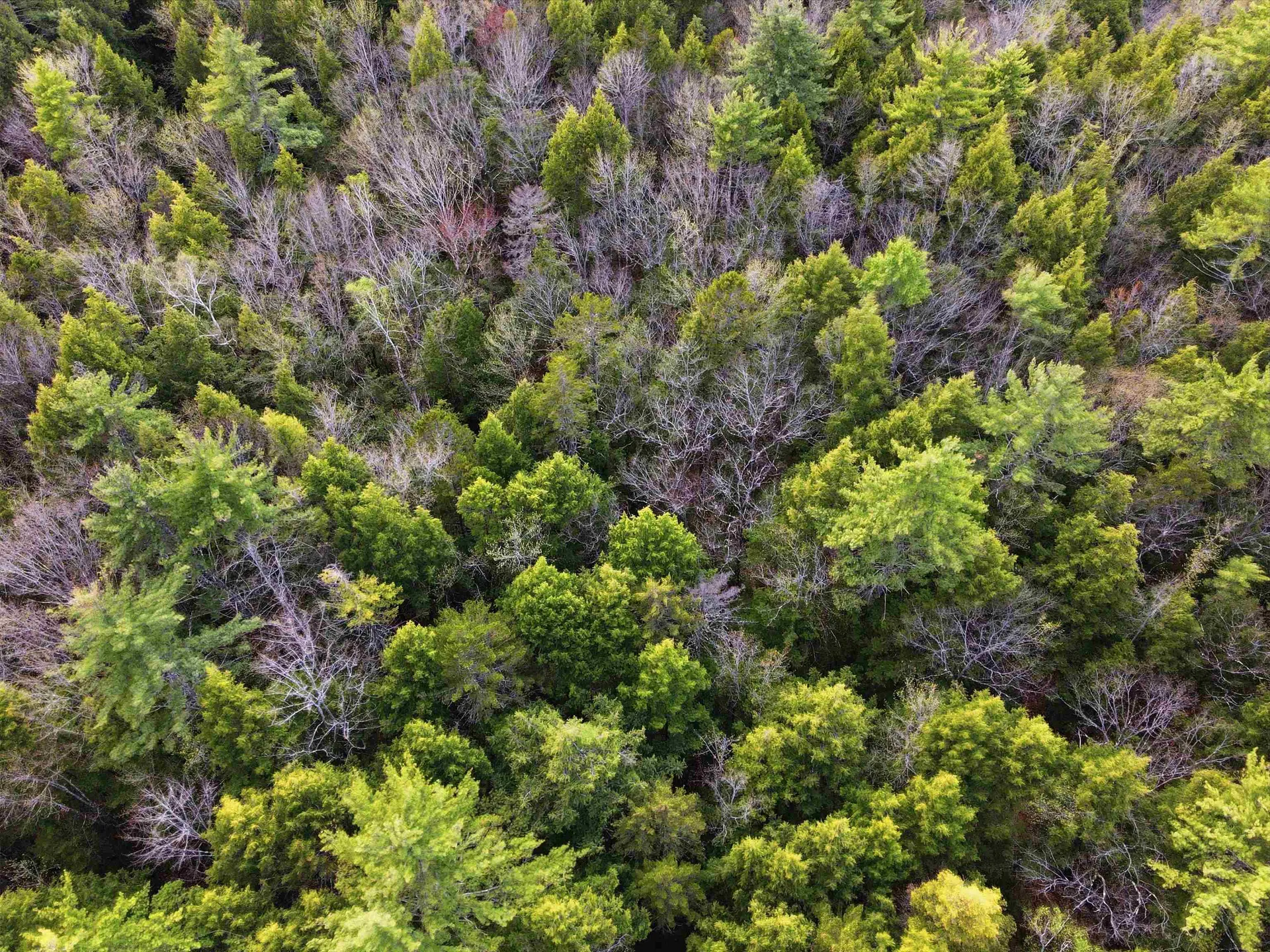 10 Beech River Circle Ossipee NH 03814