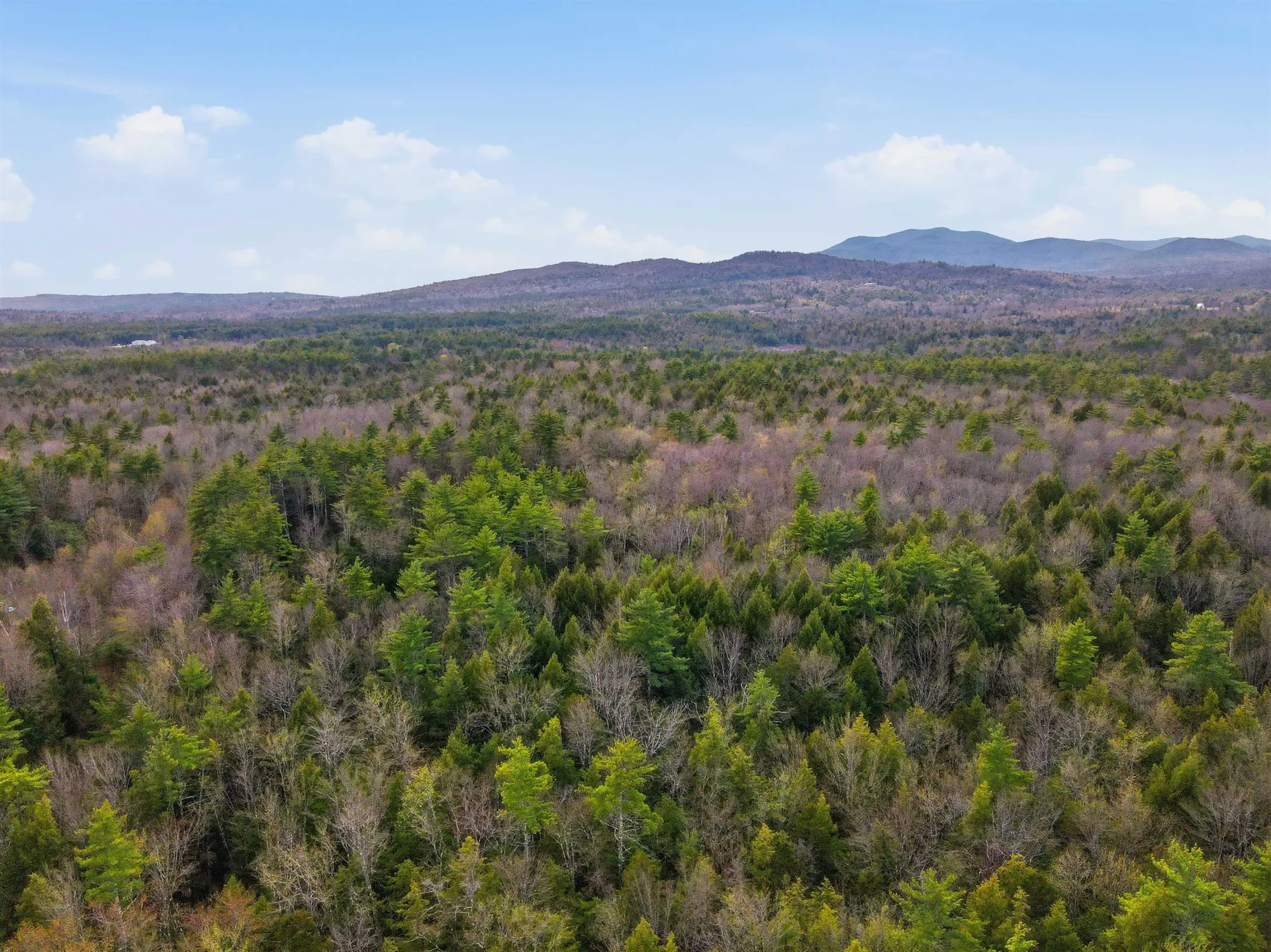 10 Beech River Circle Ossipee NH 03814