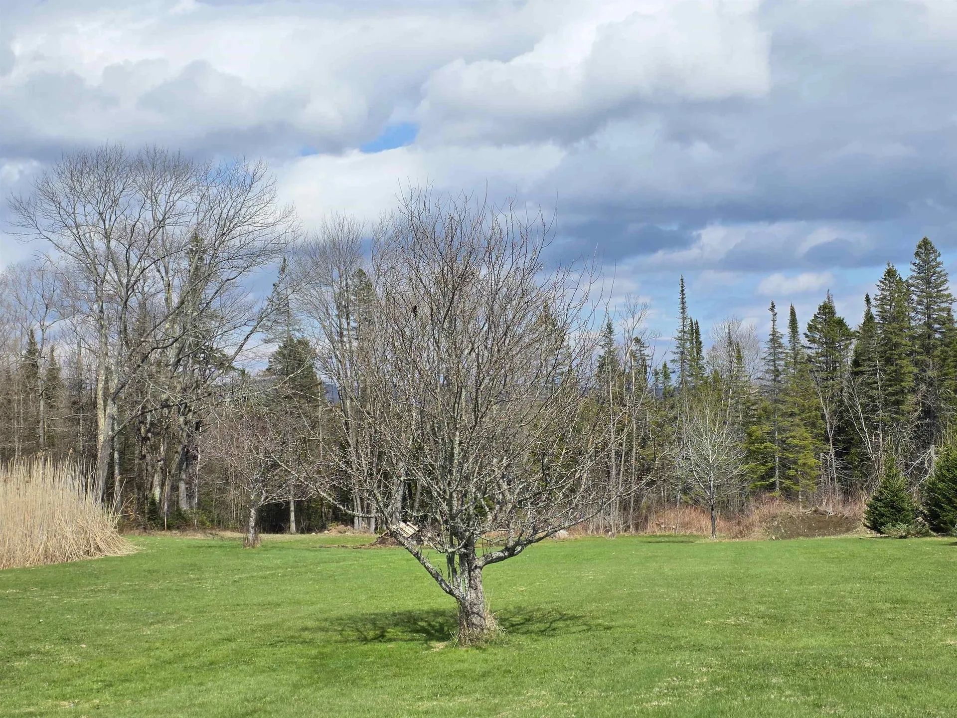 2810 Underpass Road Sutton VT 05867