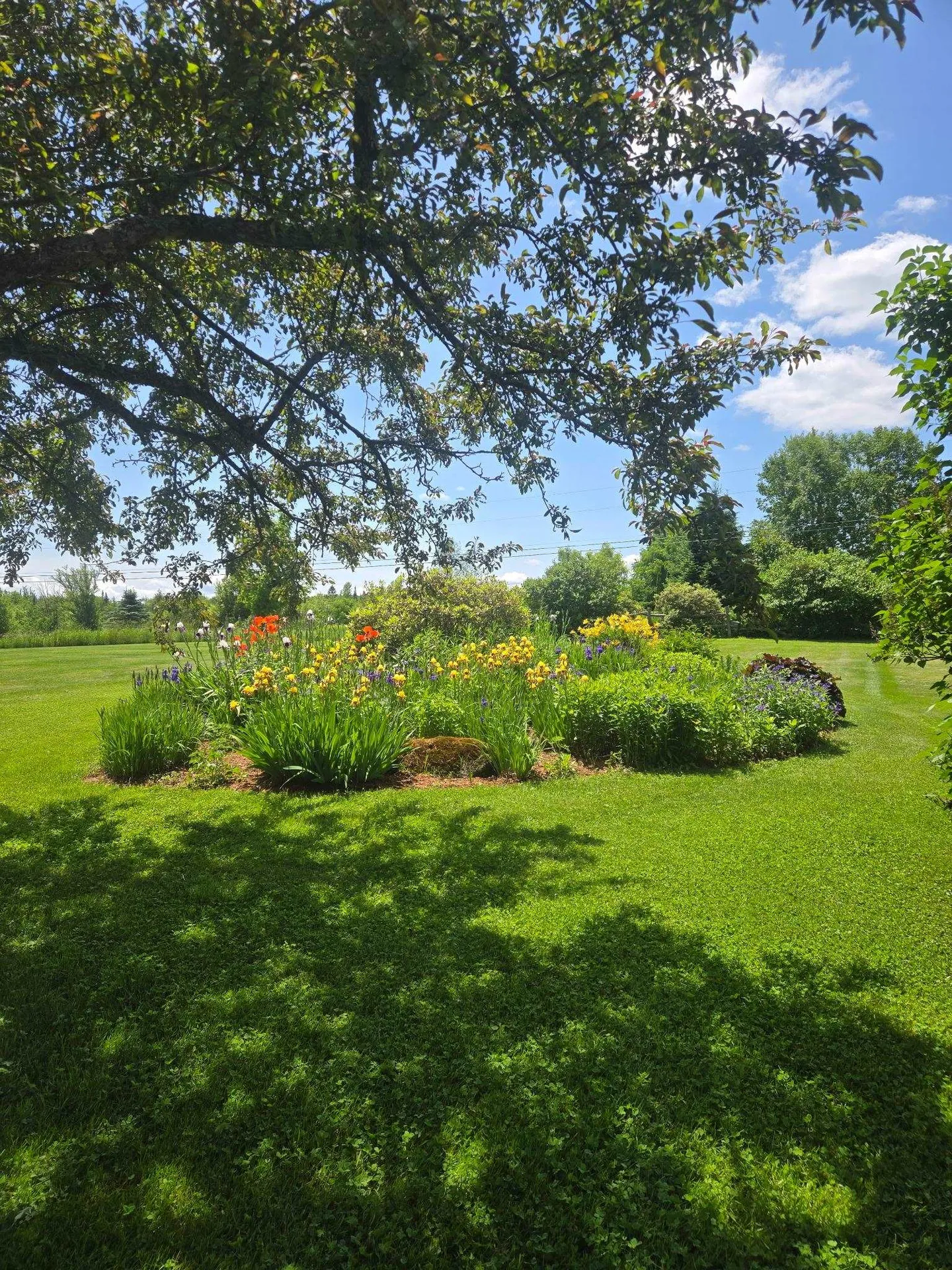 2810 Underpass Road Sutton VT 05867