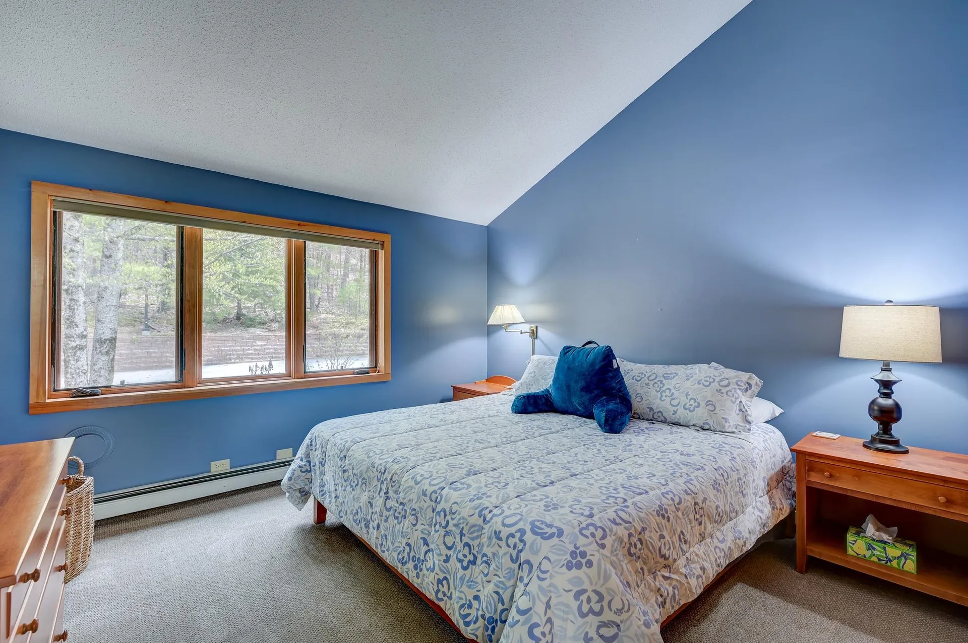 28 Birch Woods Lane Conway NH 03860