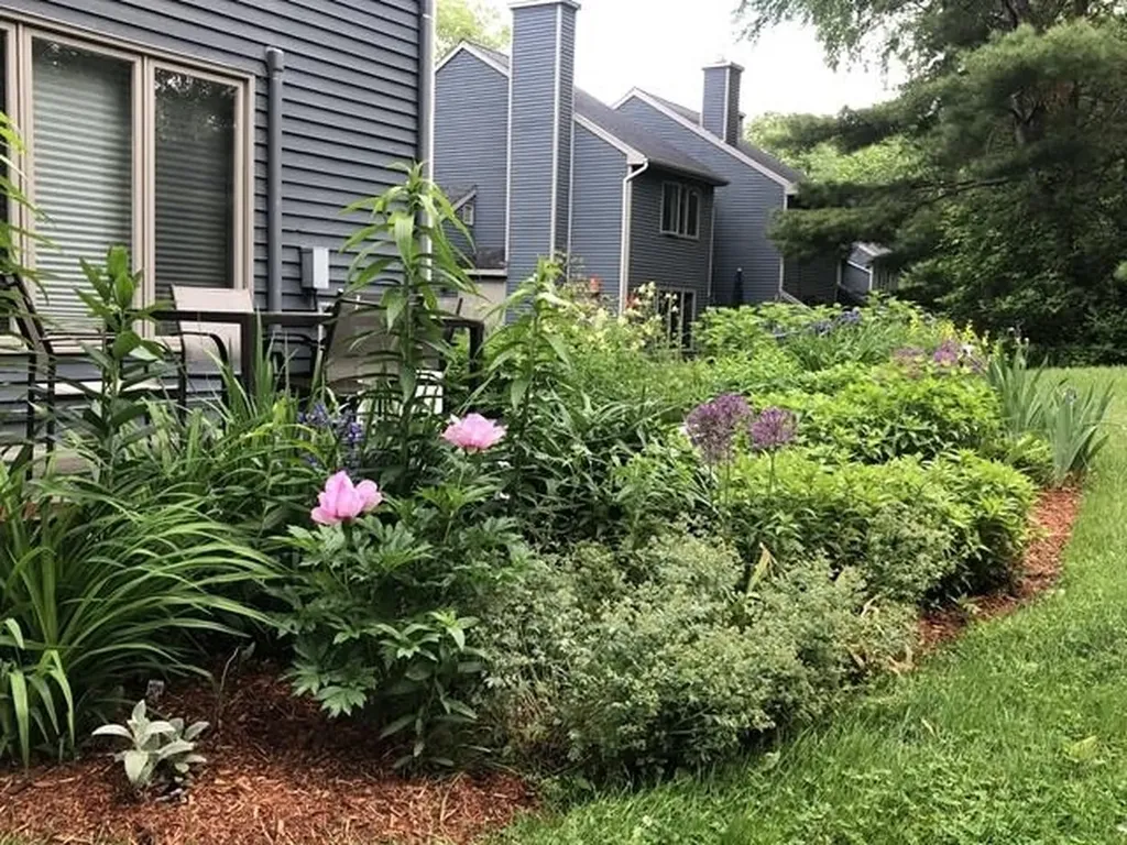911 Dorset Street South Burlington VT 05403
