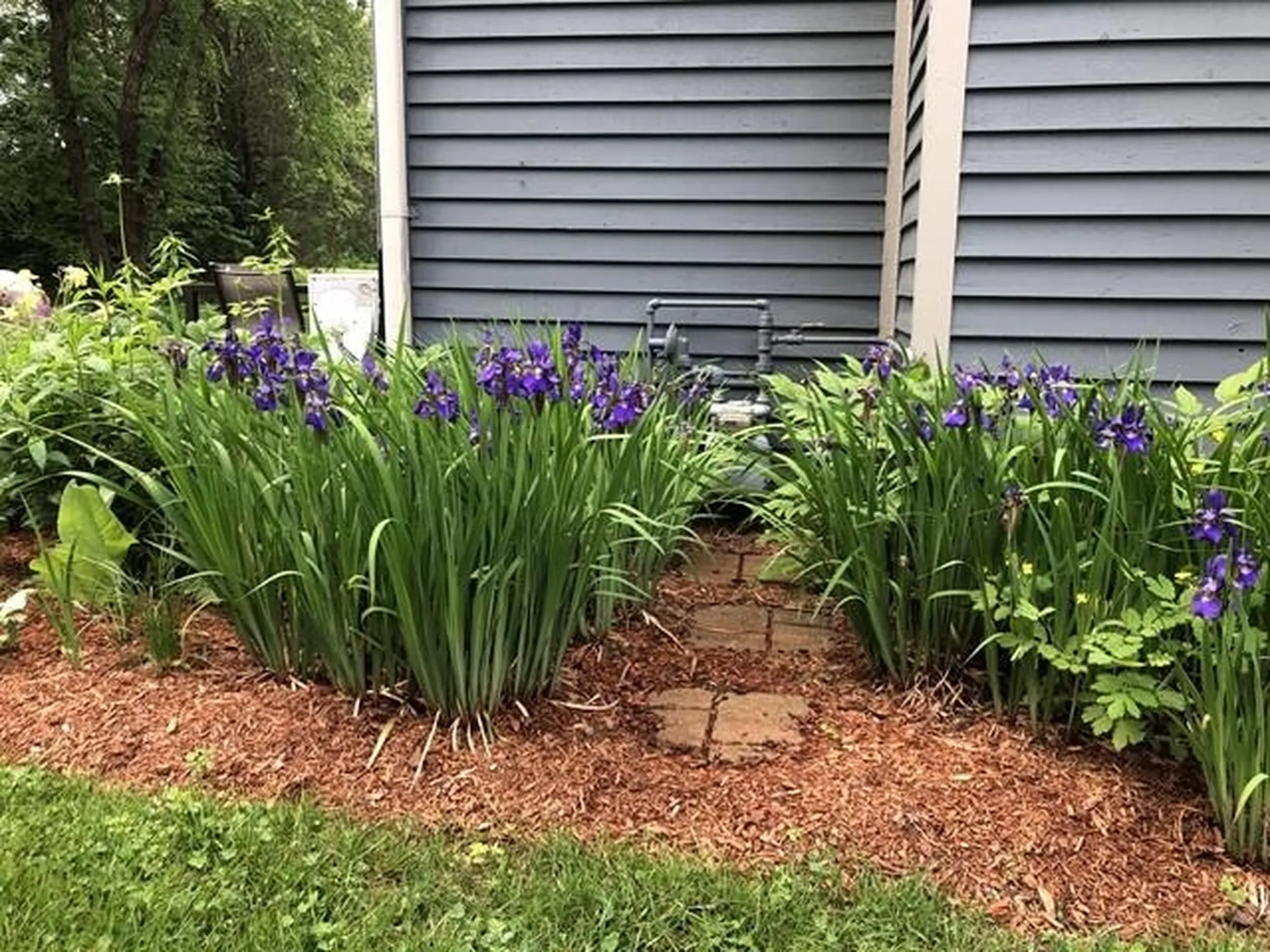 911 Dorset Street South Burlington VT 05403
