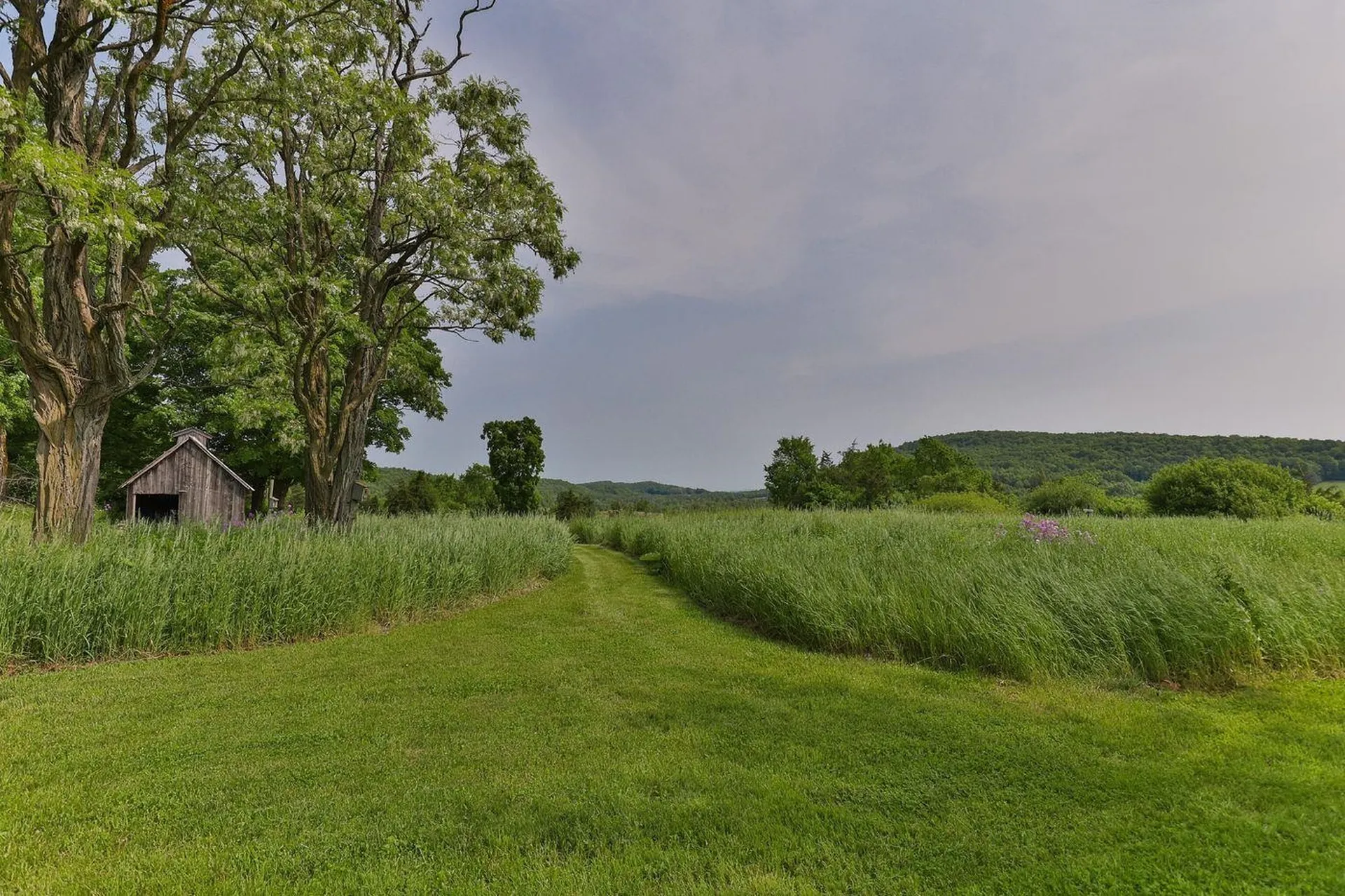 200B Burgess Road Shoreham VT 05770