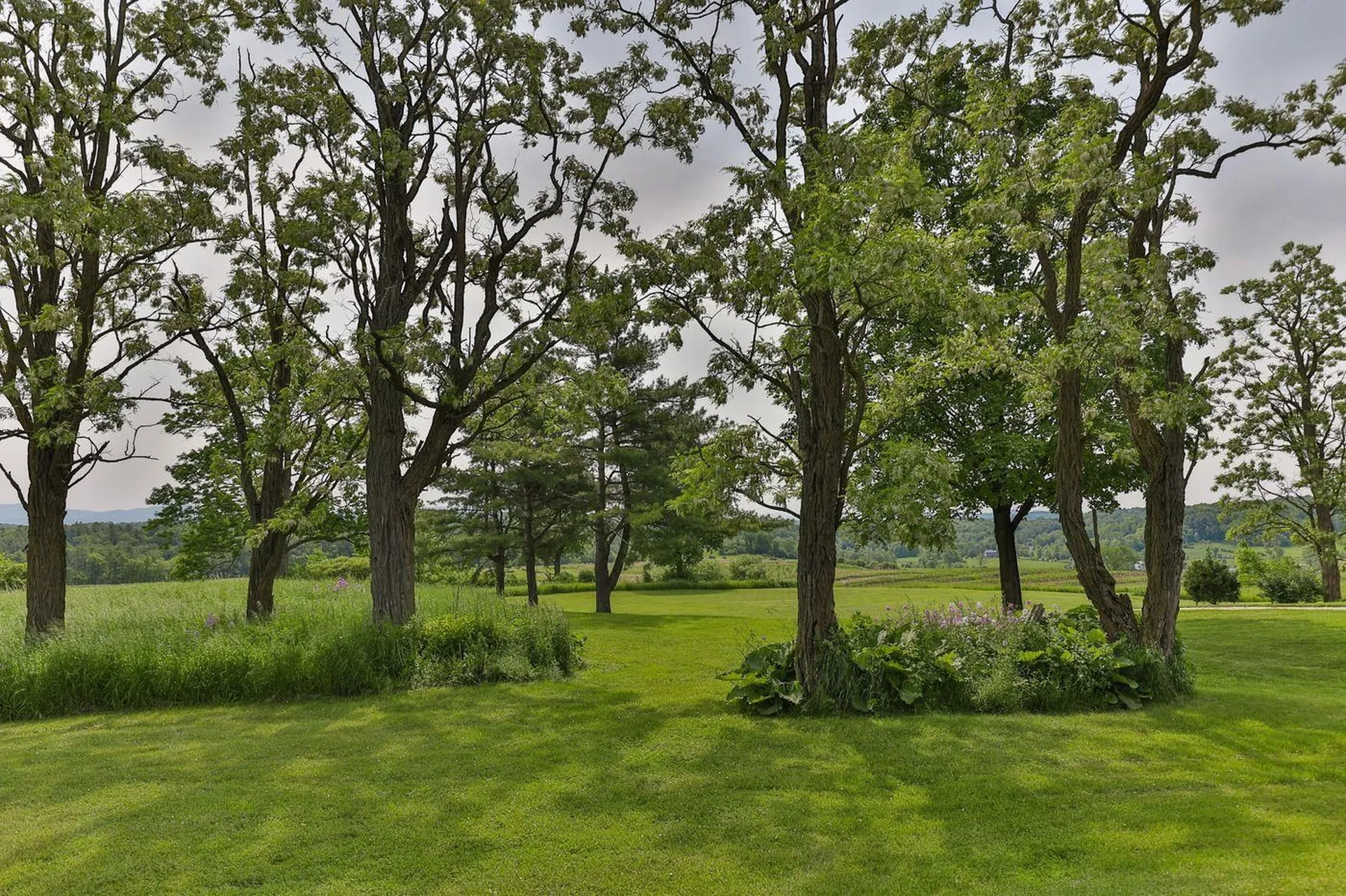 200B Burgess Road Shoreham VT 05770