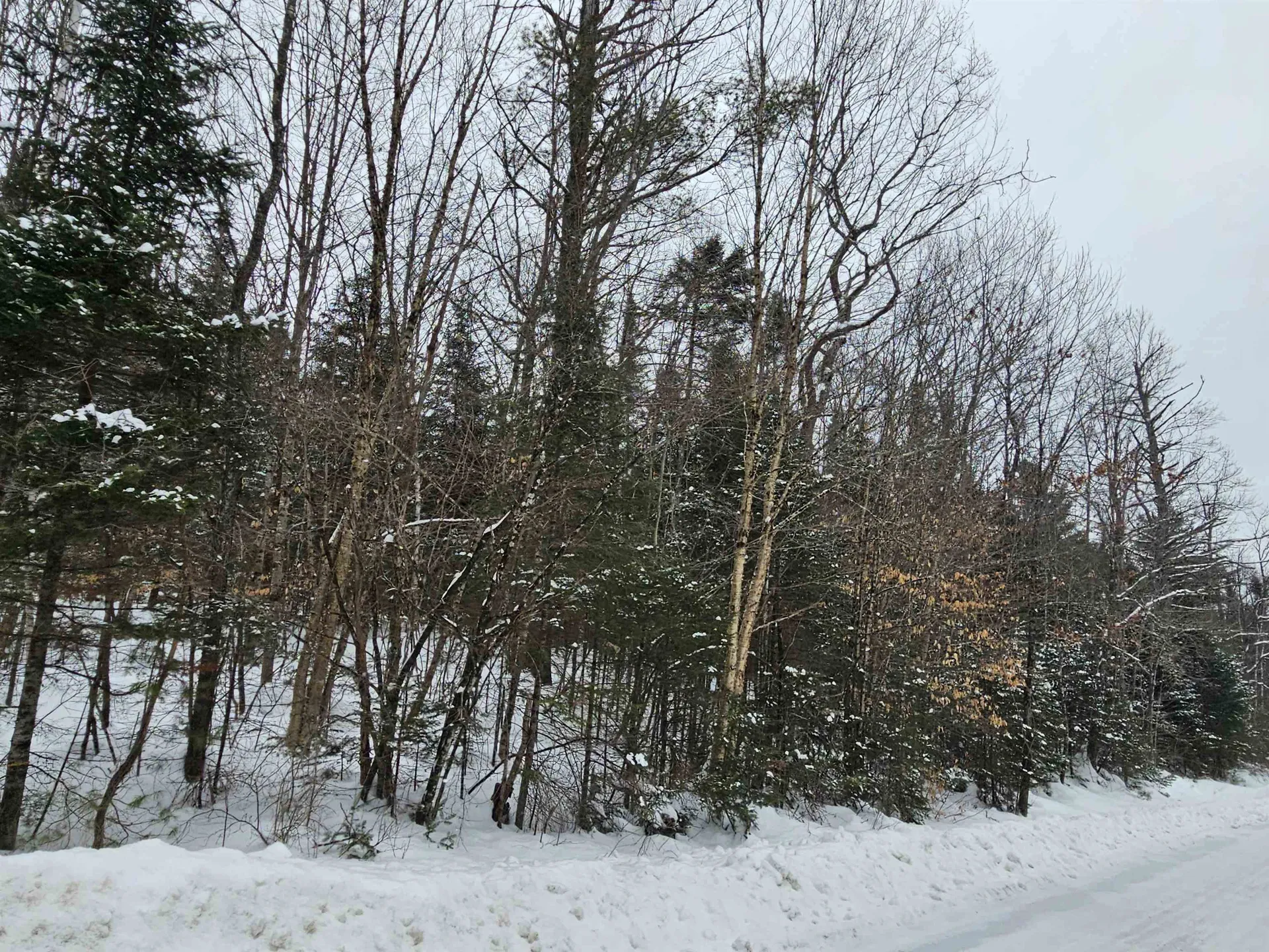 Lot 11 &12 Brook Road Lyman NH 03585