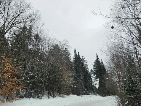 Lot 11 &12 Brook Road Lyman NH 03585