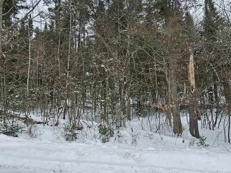 Lot 11 &12 Brook Road Lyman NH 03585