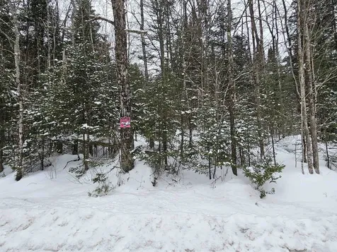 Lot 11 &12 Brook Road Lyman NH 03585
