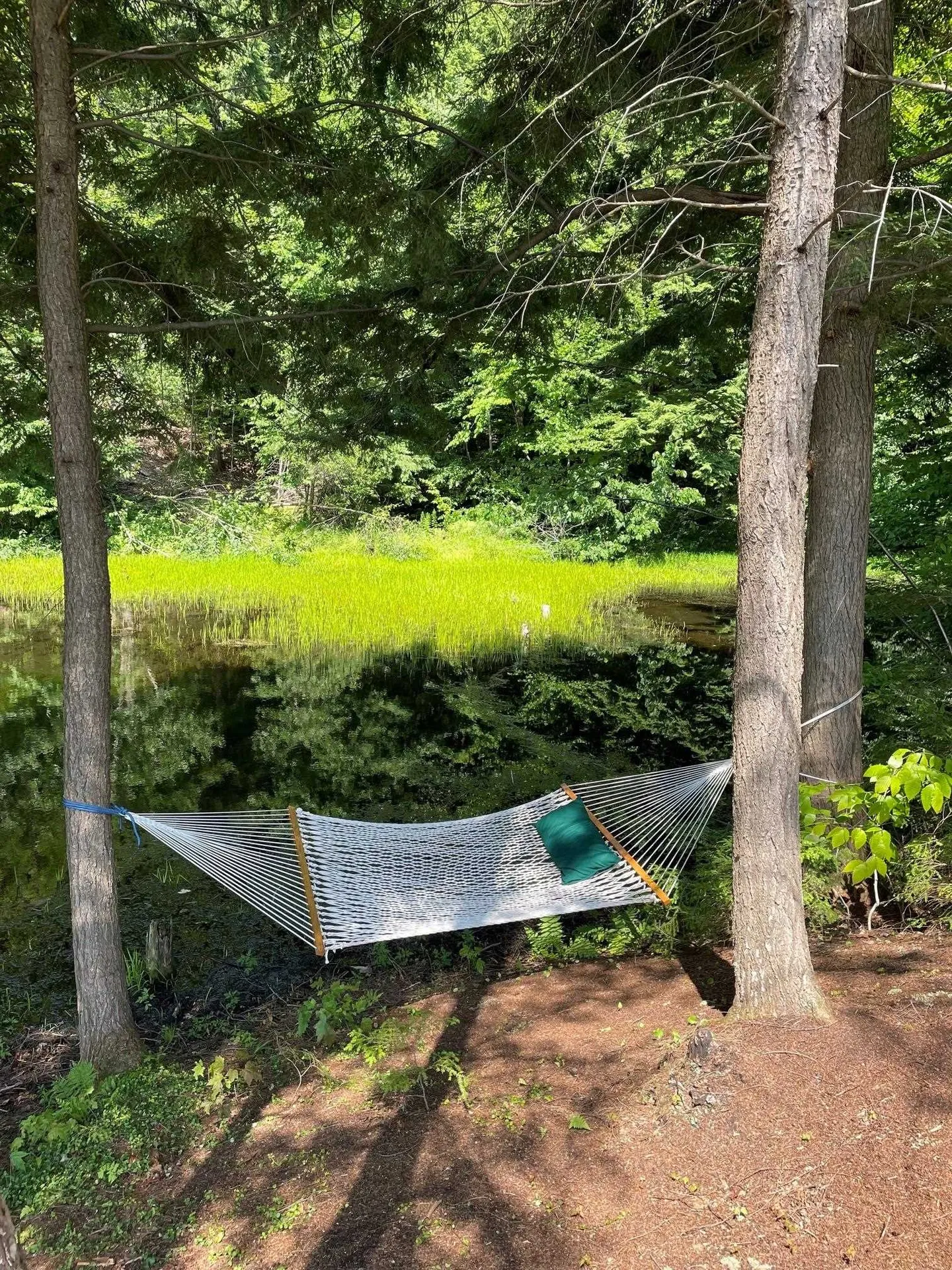 922 Crawford Trail Road Westfield VT 05874