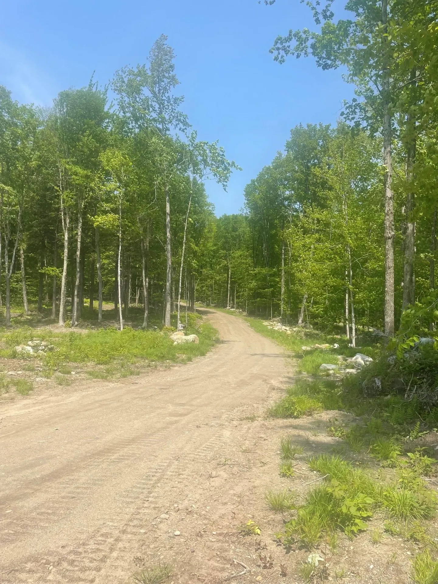 922 Crawford Trail Road Westfield VT 05874