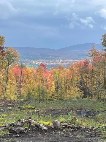 922 Crawford Trail Road Westfield VT 05874