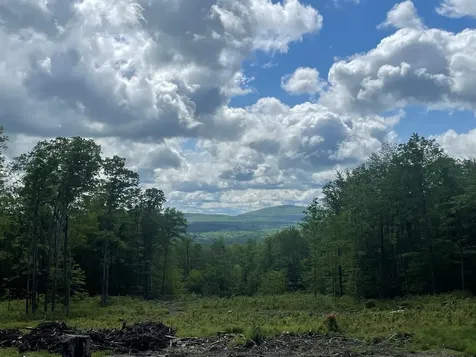 922 Crawford Trail Road Westfield VT 05874