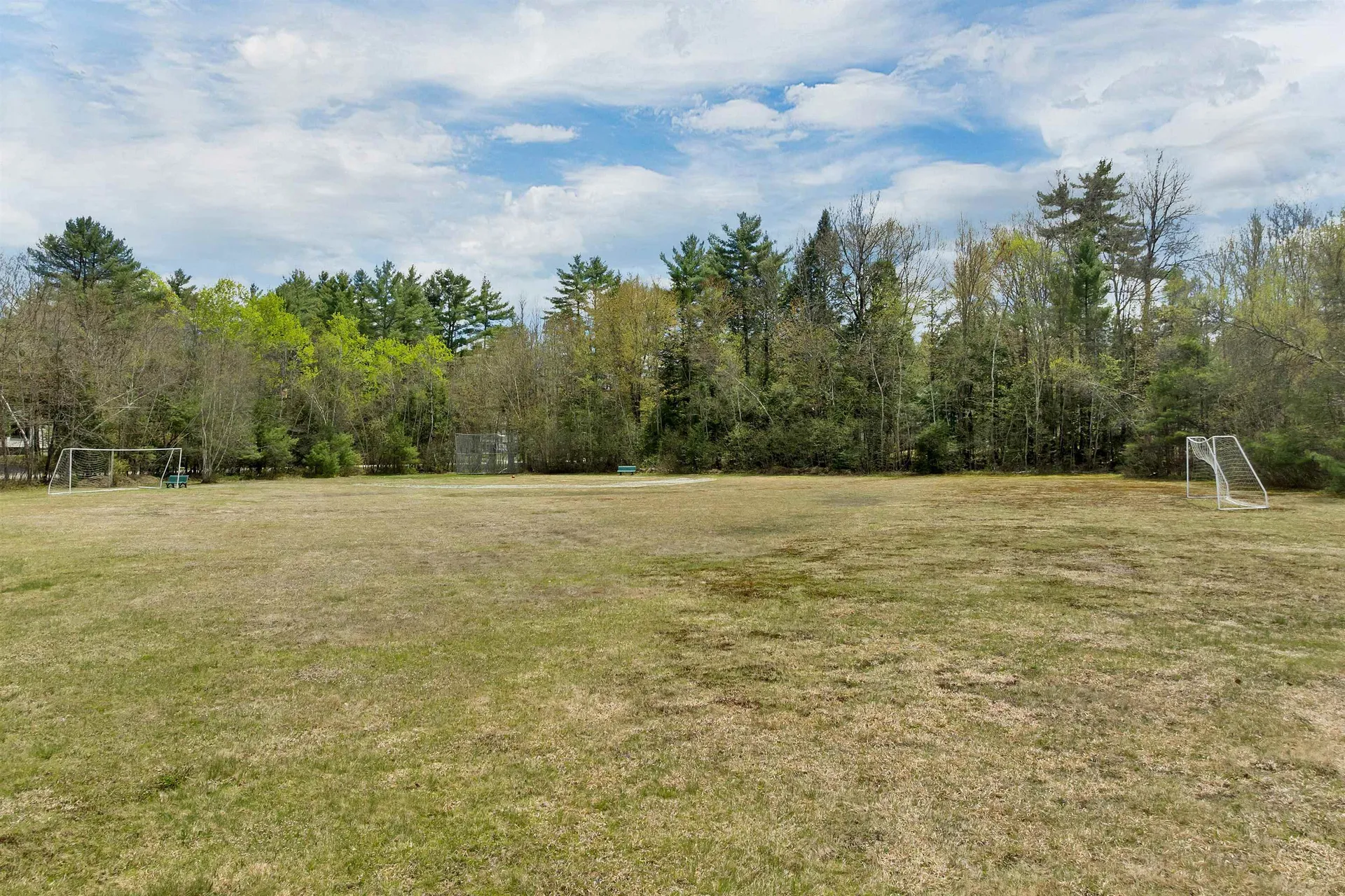 41 Franklin Pierce Drive Webster NH 03303