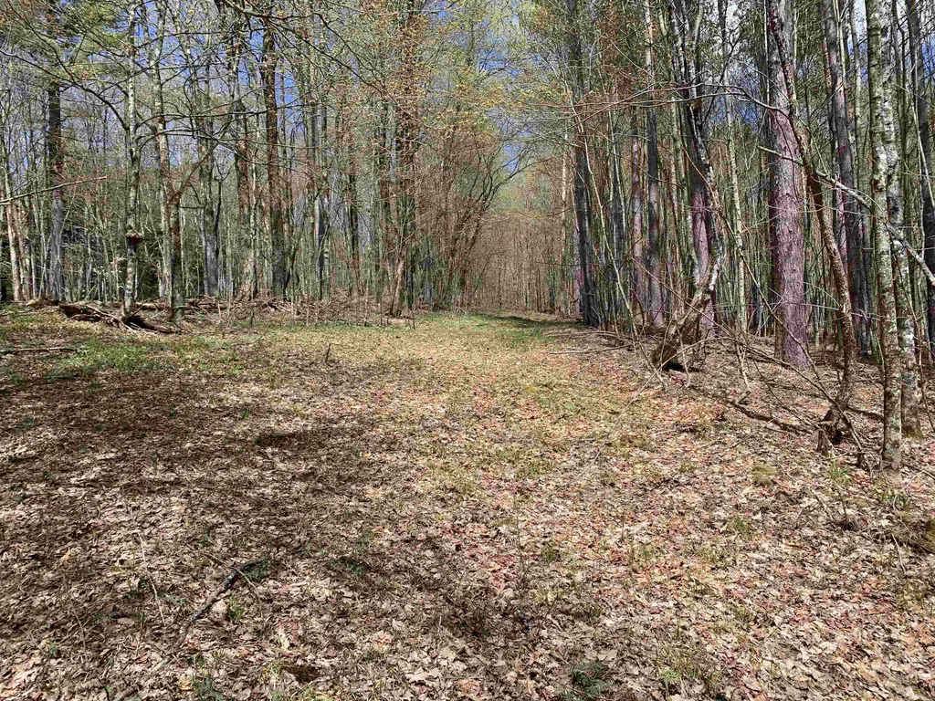 475 Threshold Way Corinth VT 05039