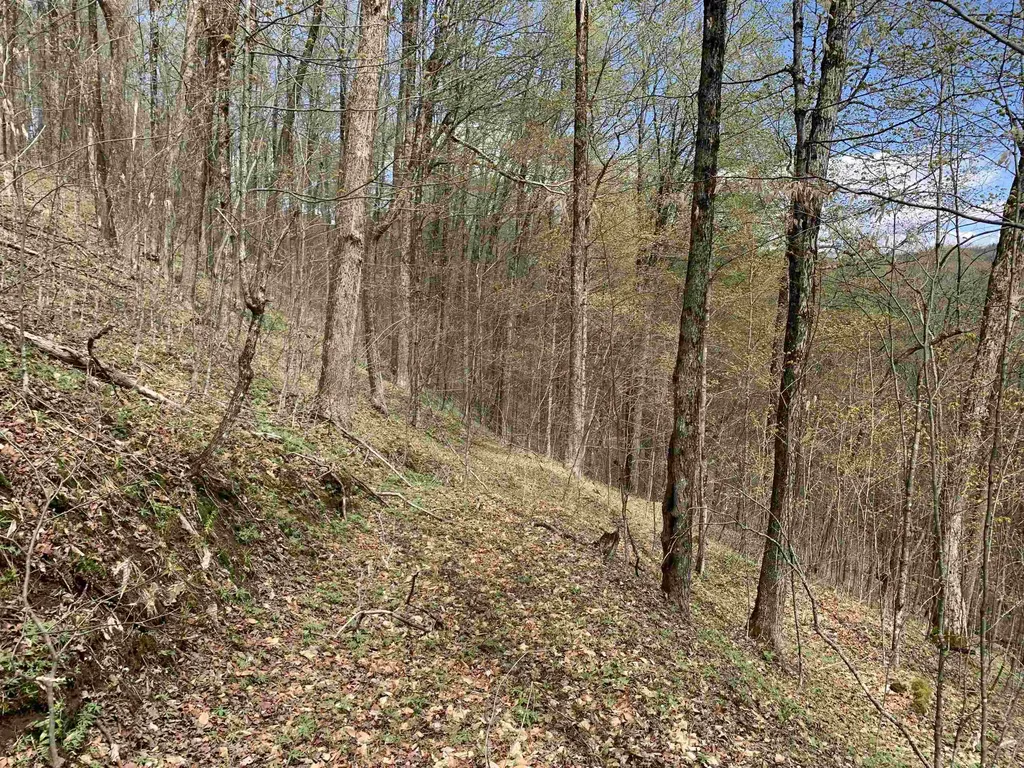 475 Threshold Way Corinth VT 05039