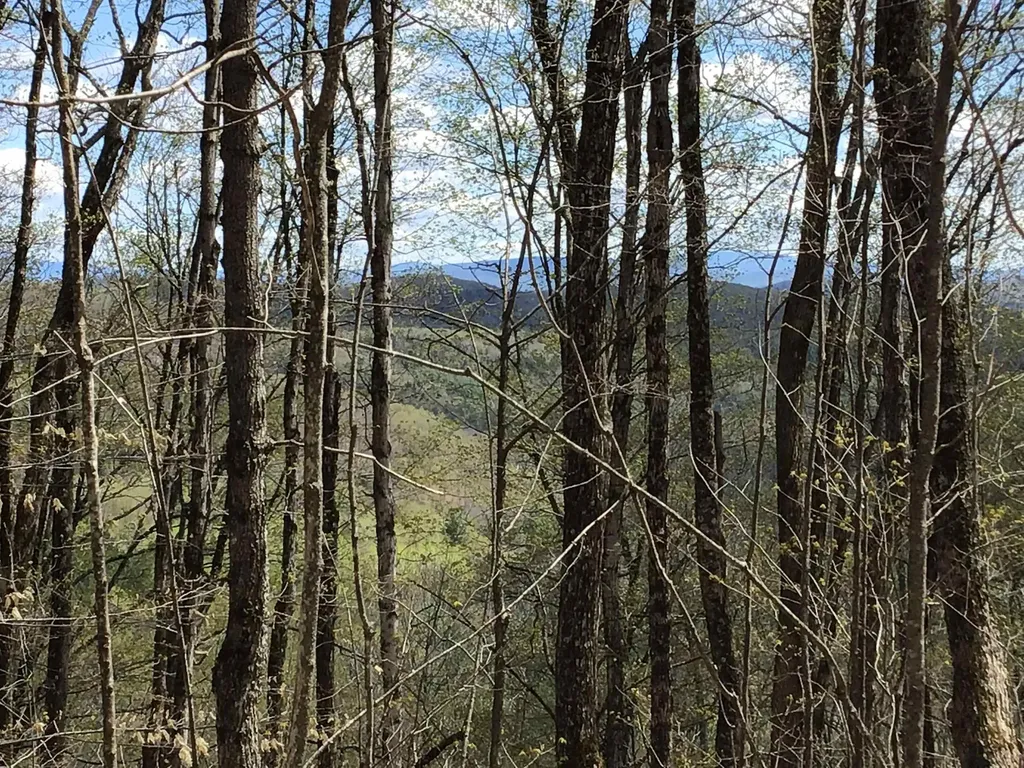 475 Threshold Way Corinth VT 05039