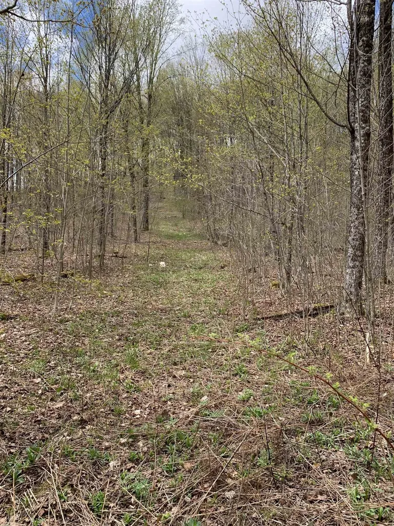 475 Threshold Way Corinth VT 05039