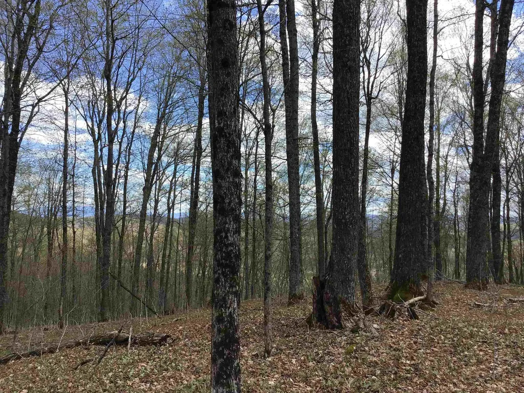 475 Threshold Way Corinth VT 05039
