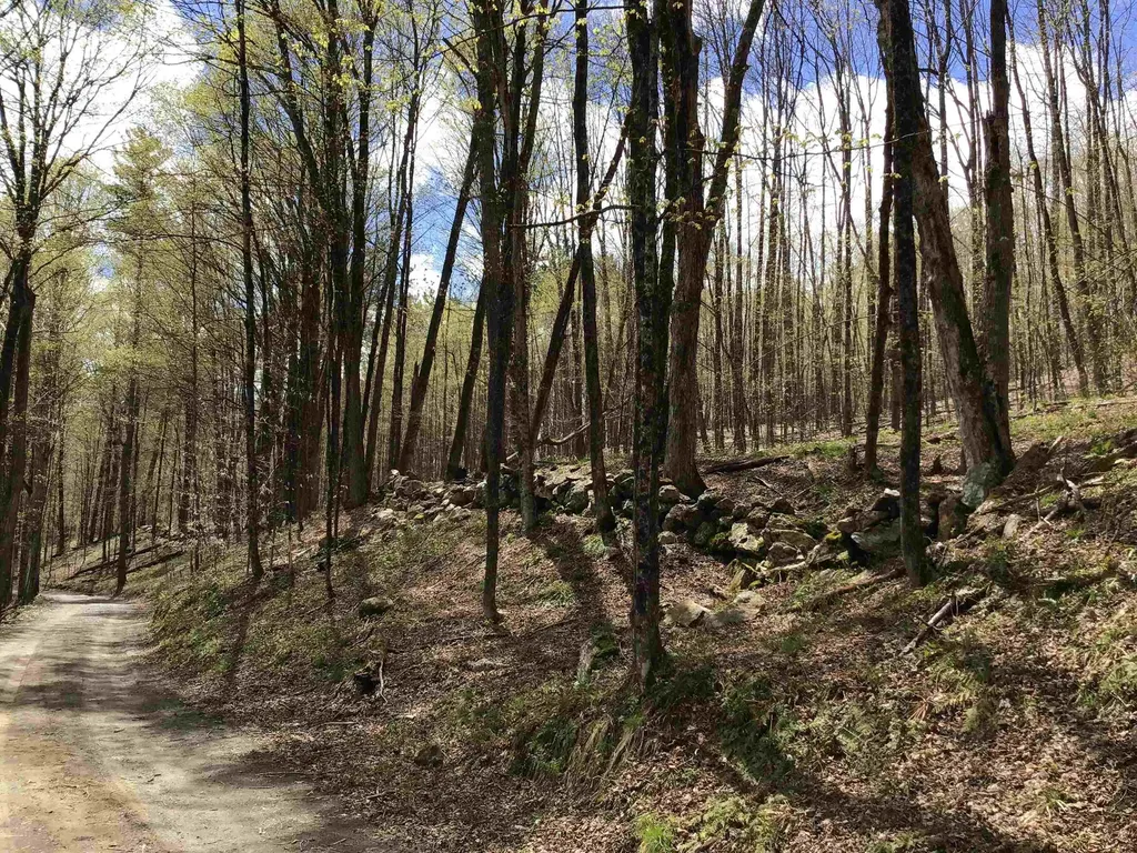 475 Threshold Way Corinth VT 05039