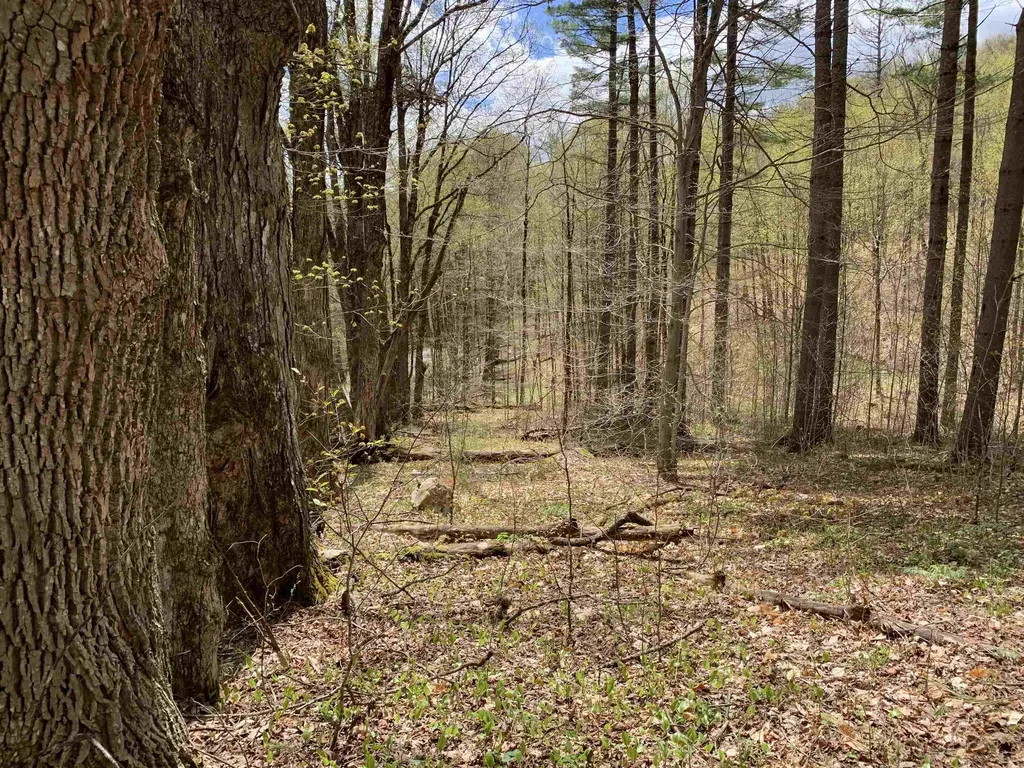 475 Threshold Way Corinth VT 05039