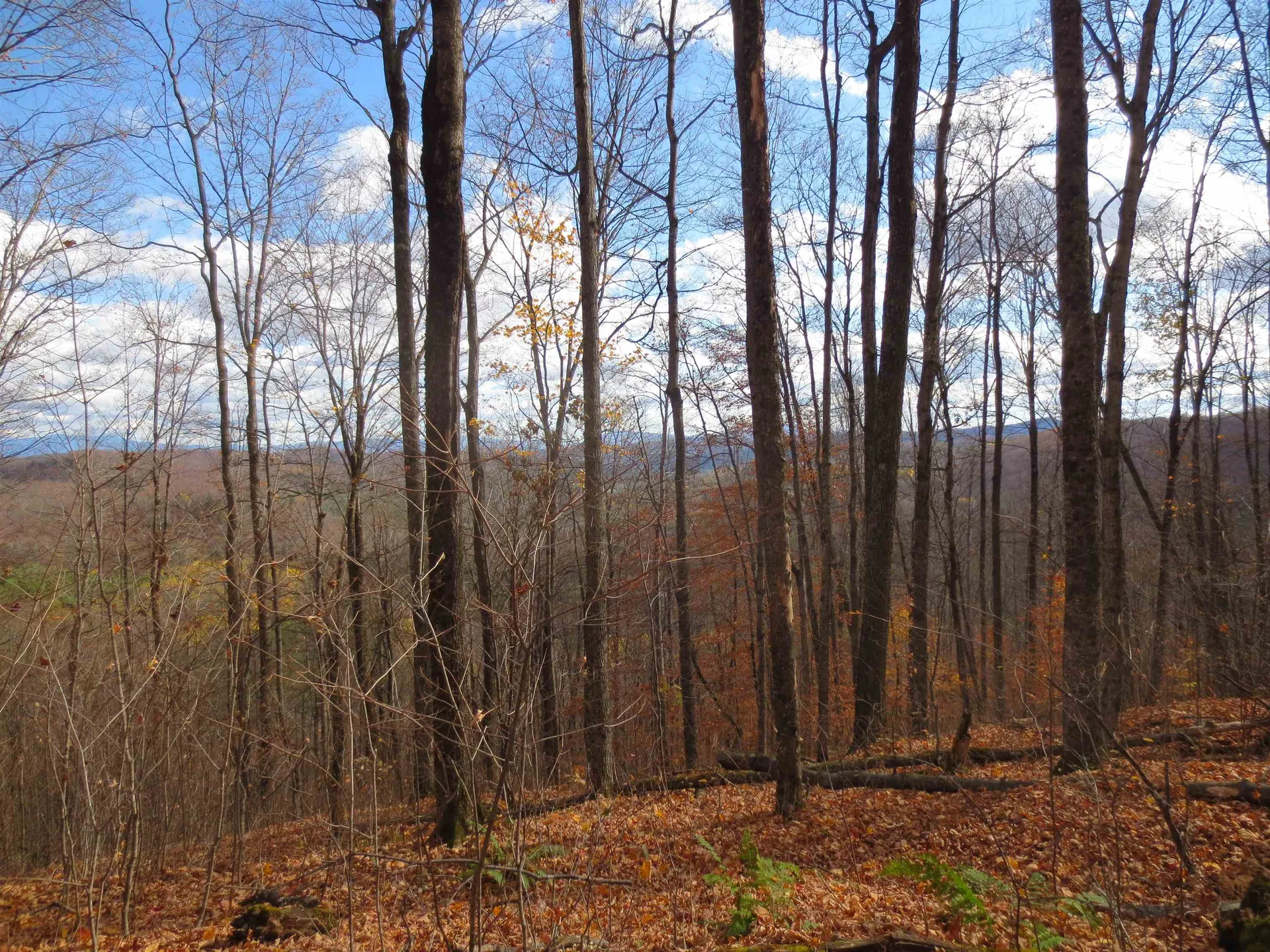 475 Threshold Way Corinth VT 05039
