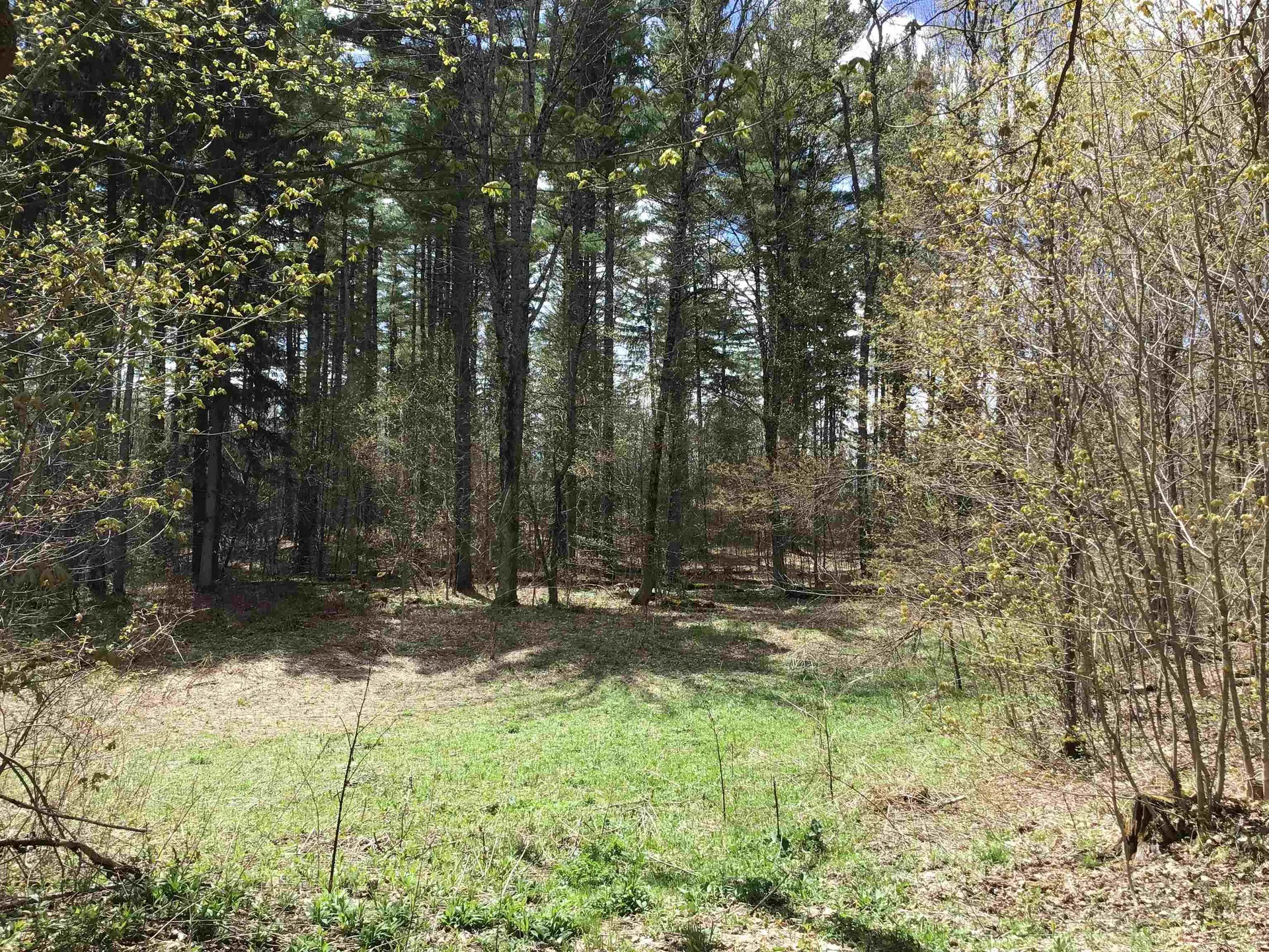 475 Threshold Way Corinth VT 05039