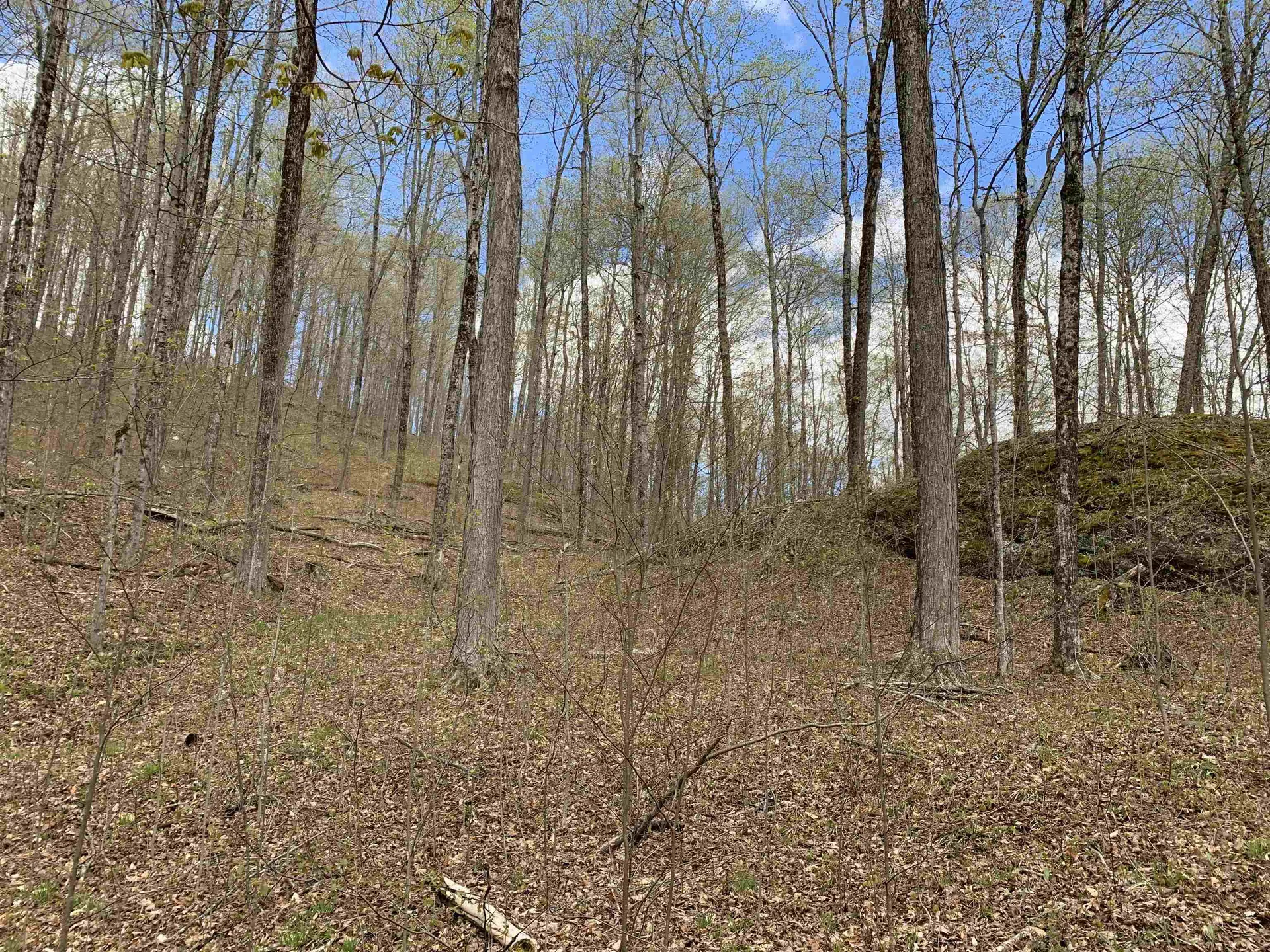475 Threshold Way Corinth VT 05039