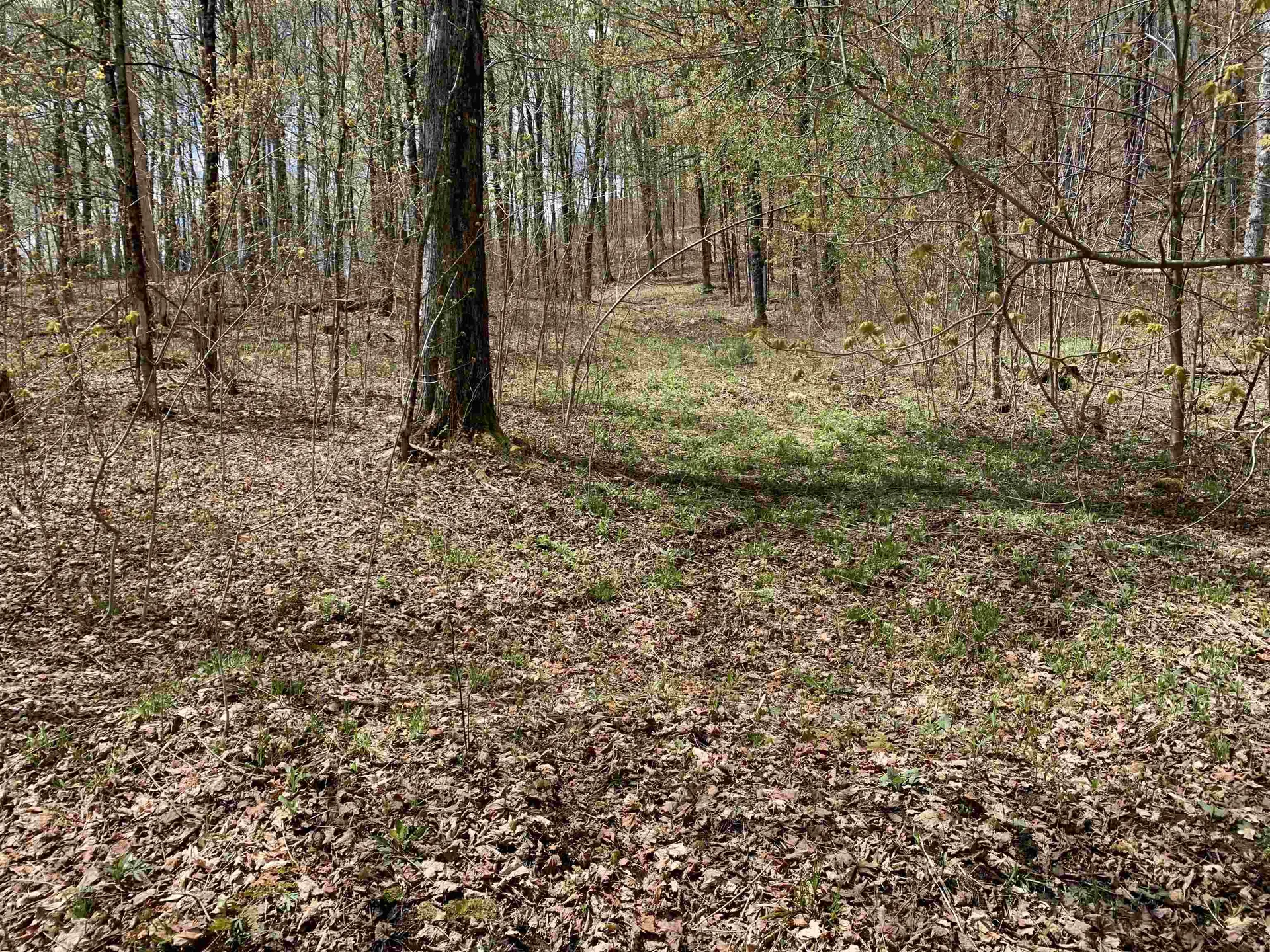 475 Threshold Way Corinth VT 05039