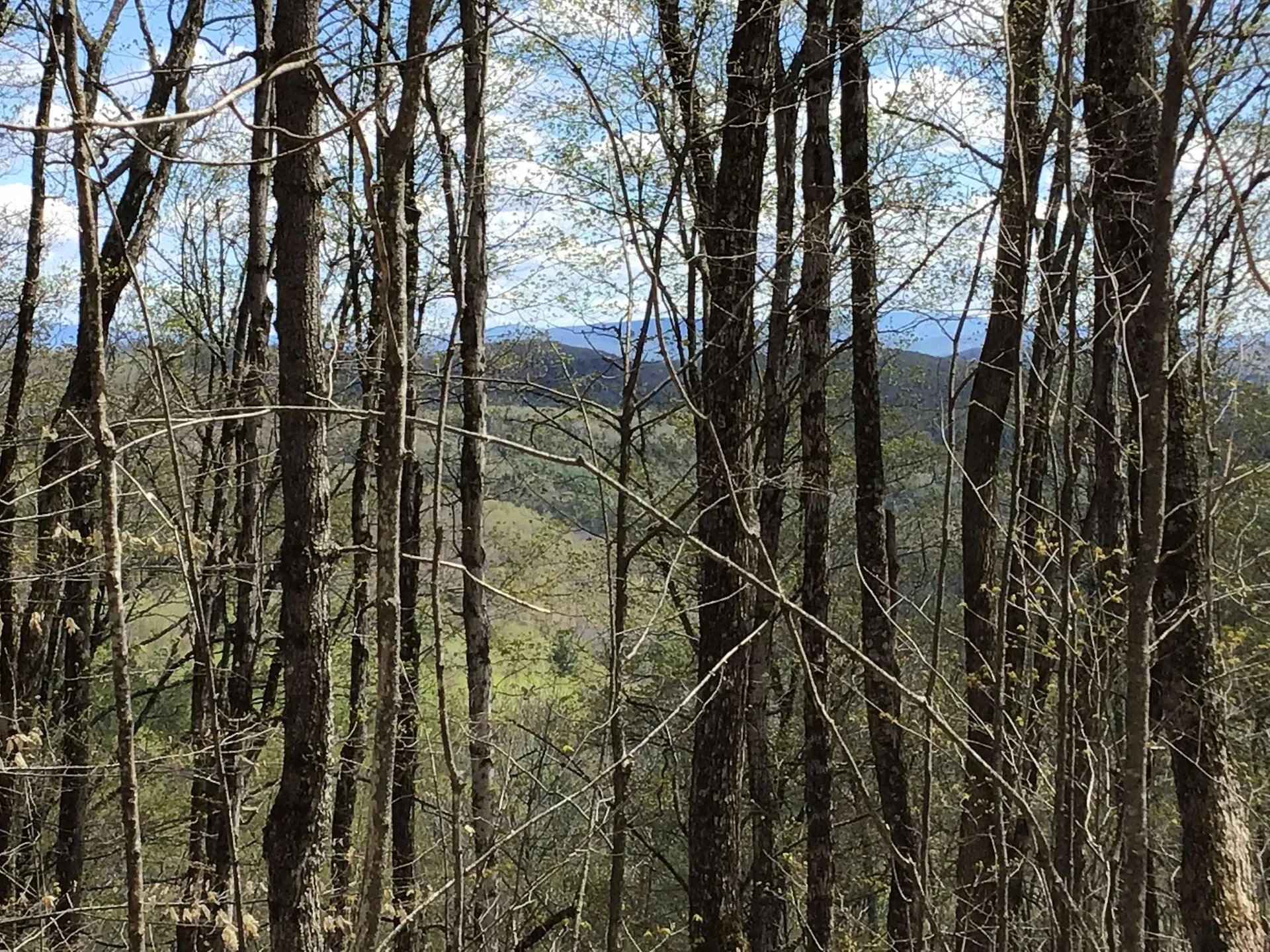 475 Threshold Way Corinth VT 05039
