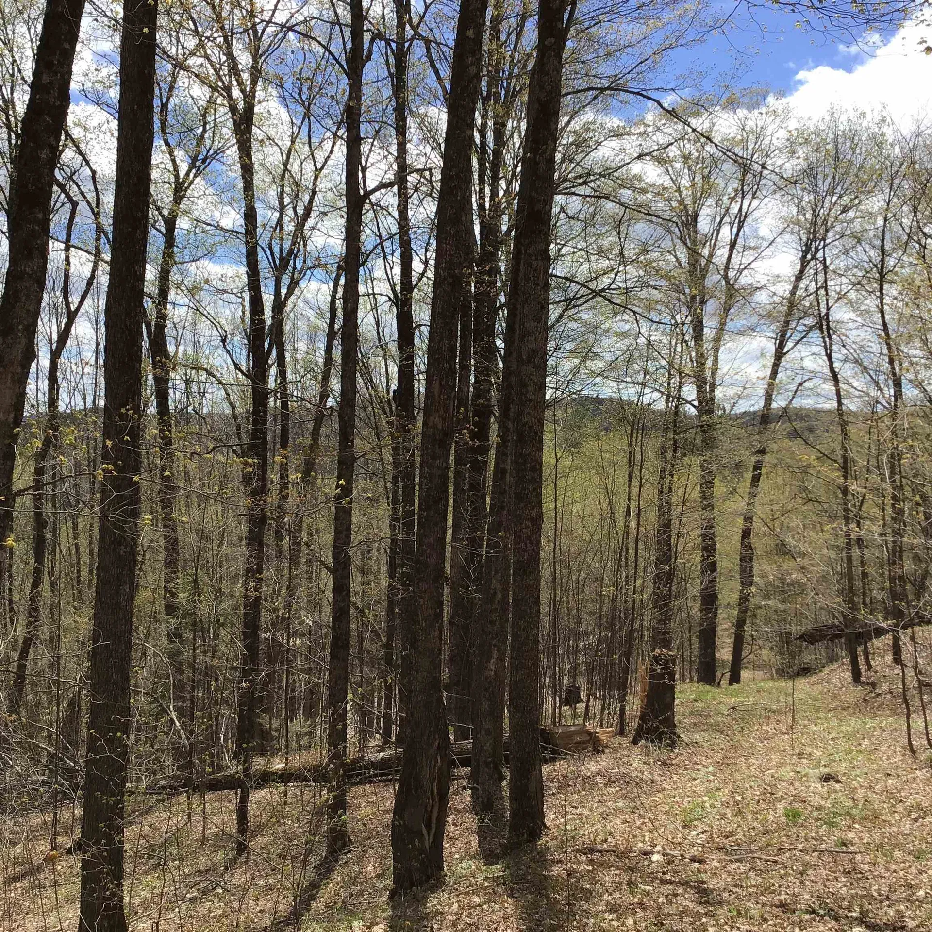 475 Threshold Way Corinth VT 05039