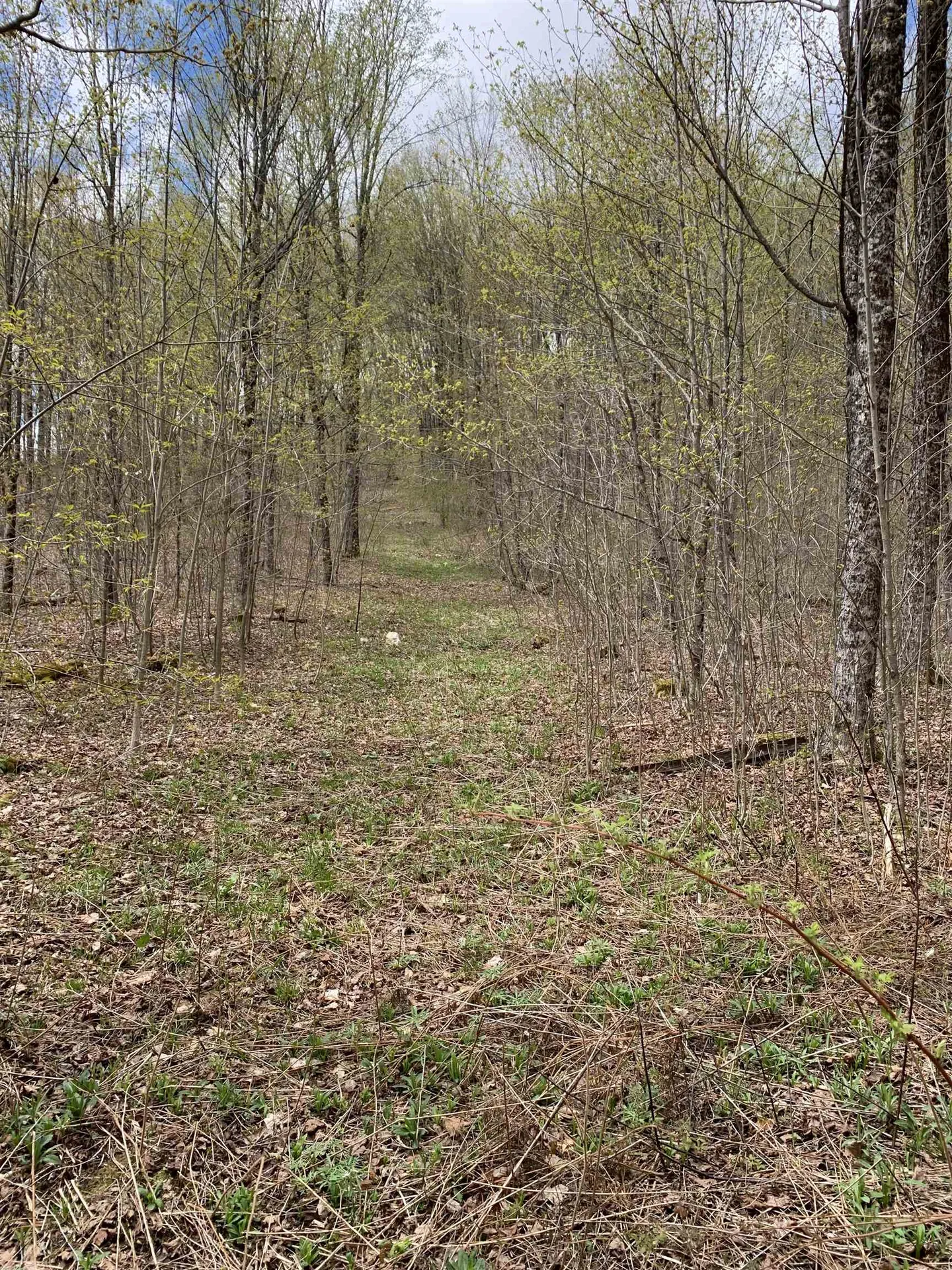 475 Threshold Way Corinth VT 05039