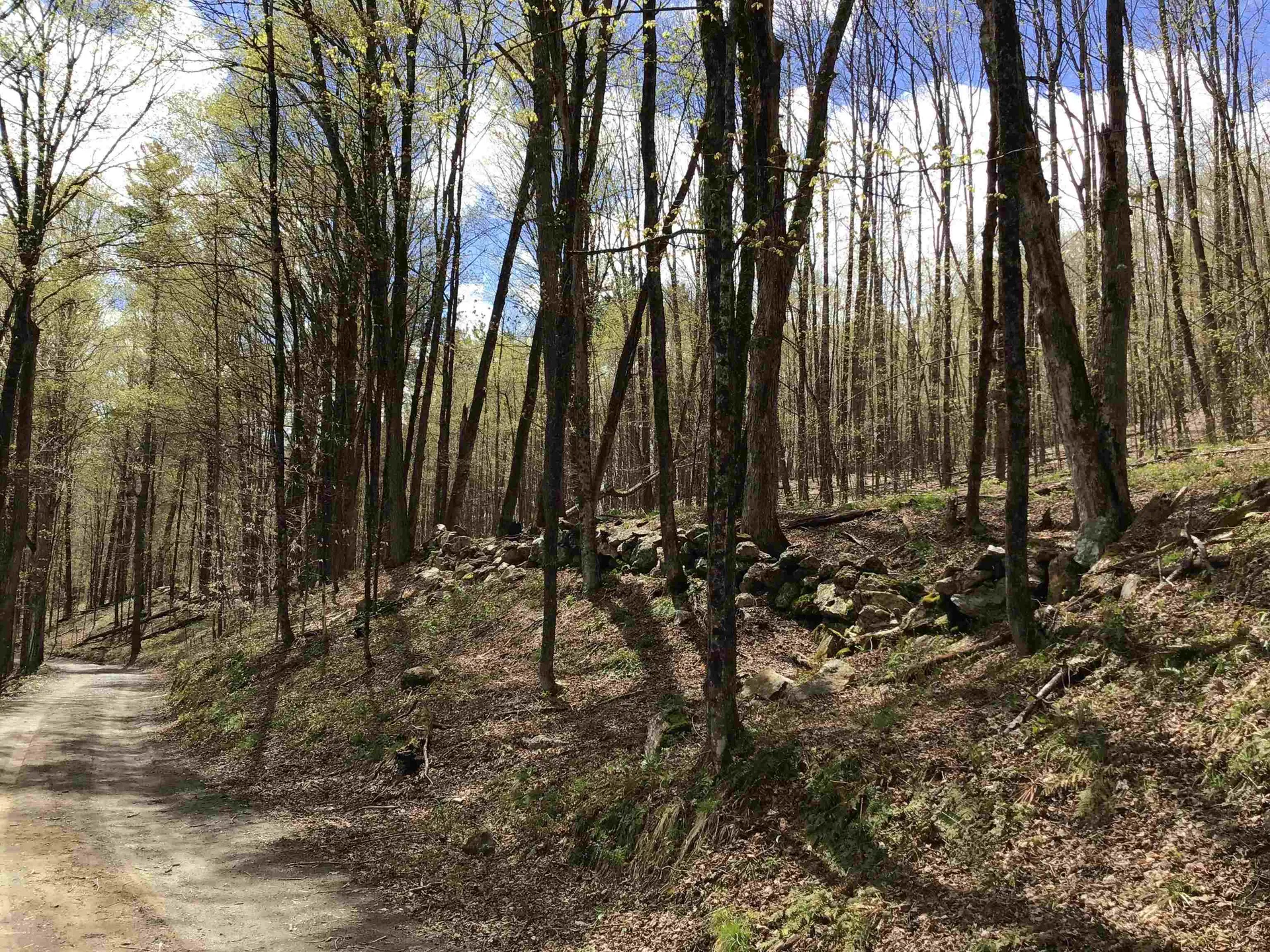 475 Threshold Way Corinth VT 05039