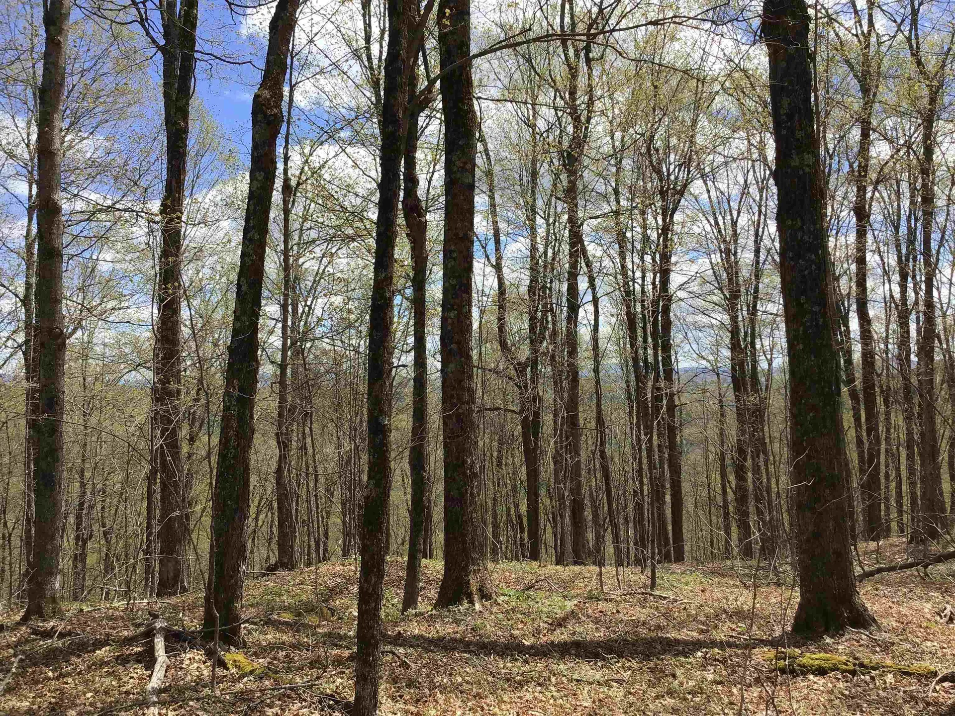 475 Threshold Way Corinth VT 05039