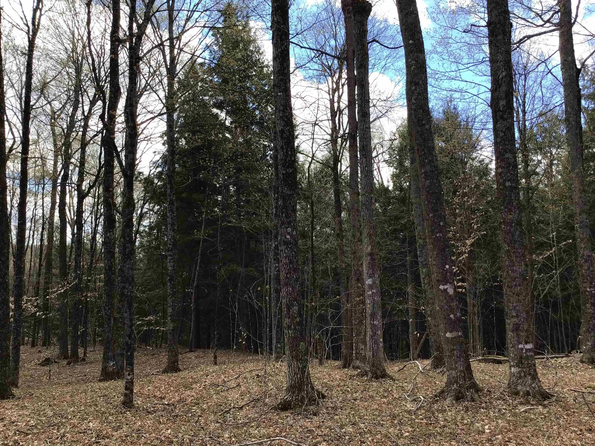 475 Threshold Way Corinth VT 05039