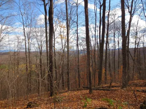 475 Threshold Way Corinth VT 05039
