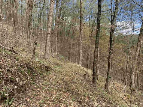 475 Threshold Way Corinth VT 05039