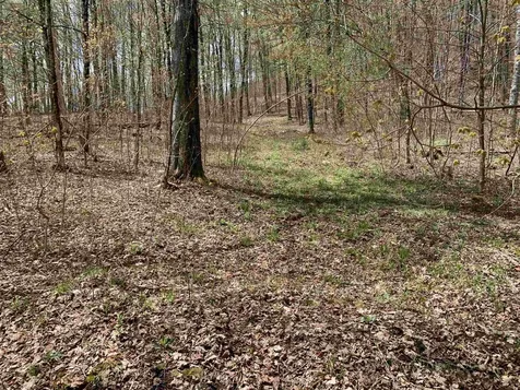 475 Threshold Way Corinth VT 05039