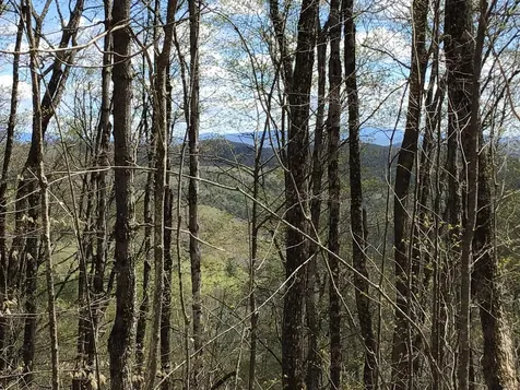 475 Threshold Way Corinth VT 05039