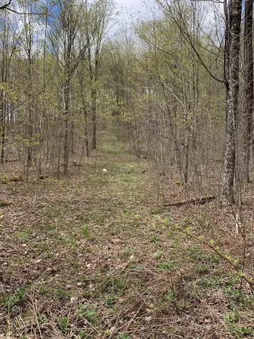 475 Threshold Way Corinth VT 05039