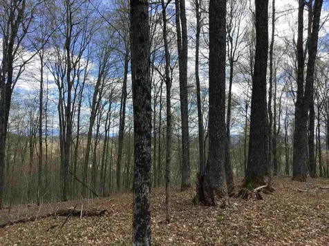 475 Threshold Way Corinth VT 05039