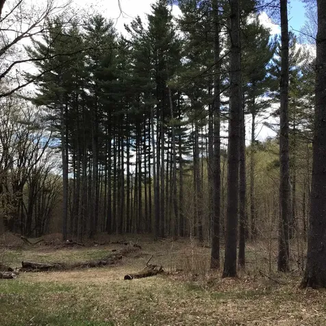 475 Threshold Way Corinth VT 05039