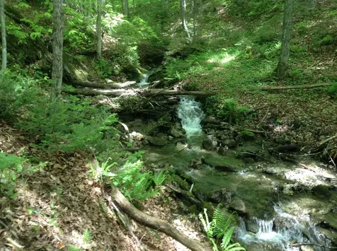 475 Threshold Way Corinth VT 05039