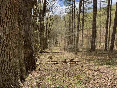 475 Threshold Way Corinth VT 05039